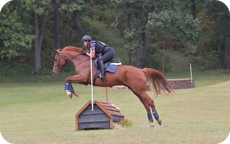 86f2a2_d7fd35d60bdb4a9baaf5c8547059e617~mv2 1 (1)